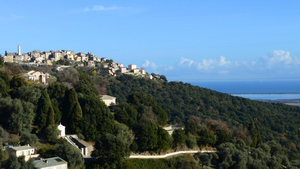 Au Coeur Du Village De Lucciana Луччана Екстер'єр фото